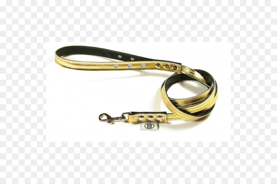 Leash，Correia PNG