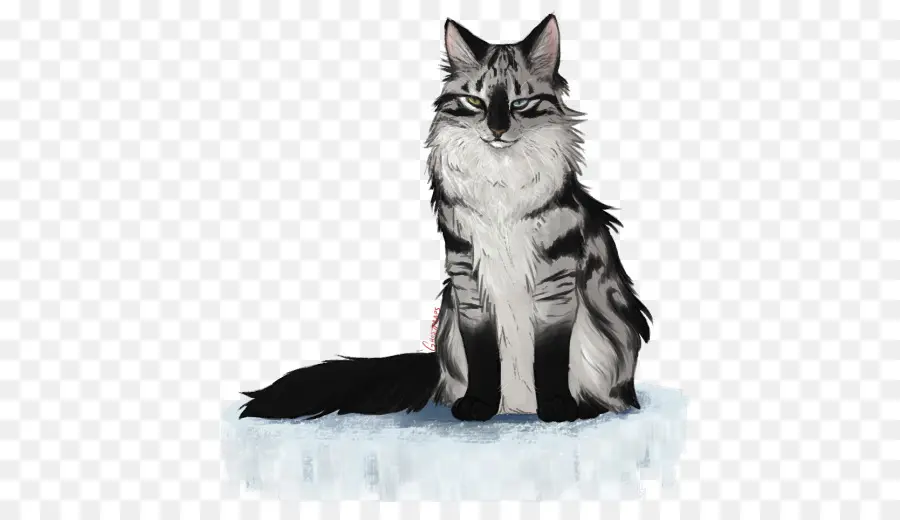 Maine Coon，Gato Norueguês Da Floresta PNG