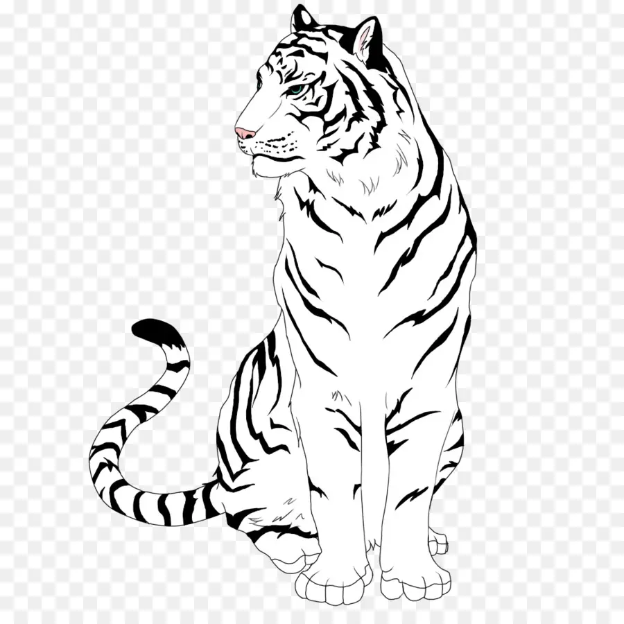 Tigre Branco，Sentado PNG