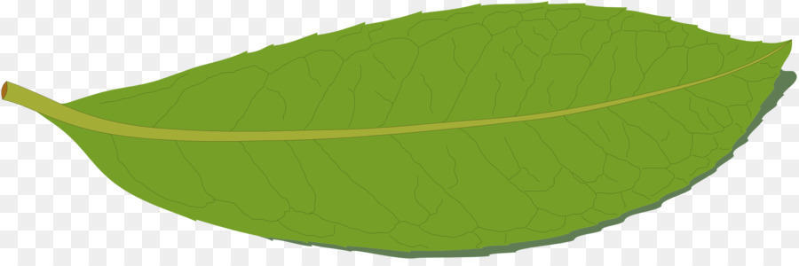 Folha Verde，Natureza PNG