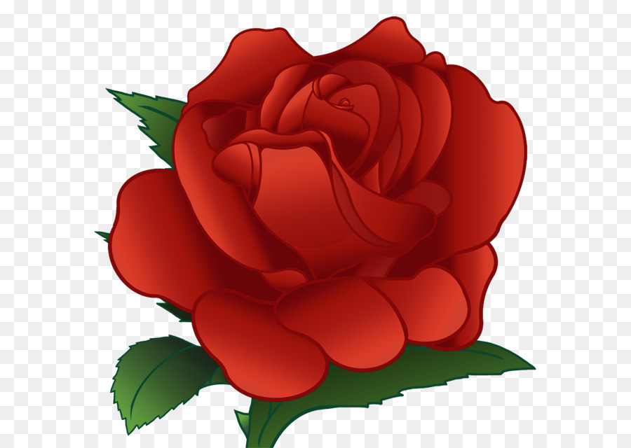 Rosas，Florescer PNG