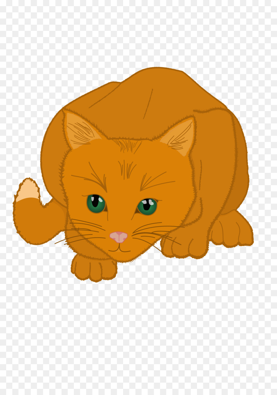 Gato，Gatinho PNG