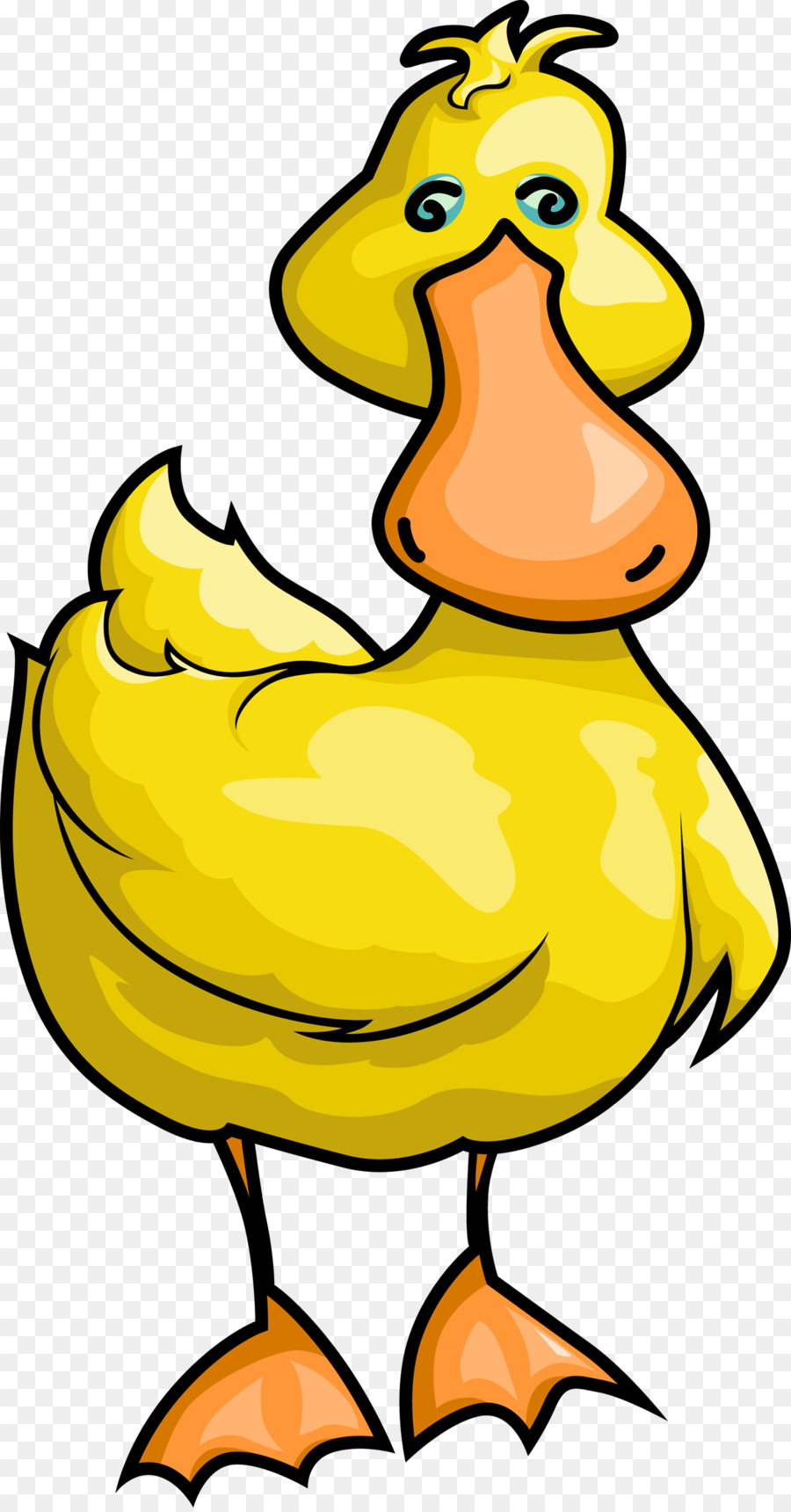 Pato，Aves PNG