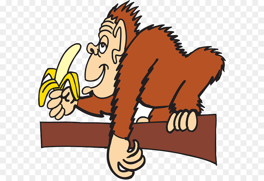 Macaco Com Banana，Banana PNG