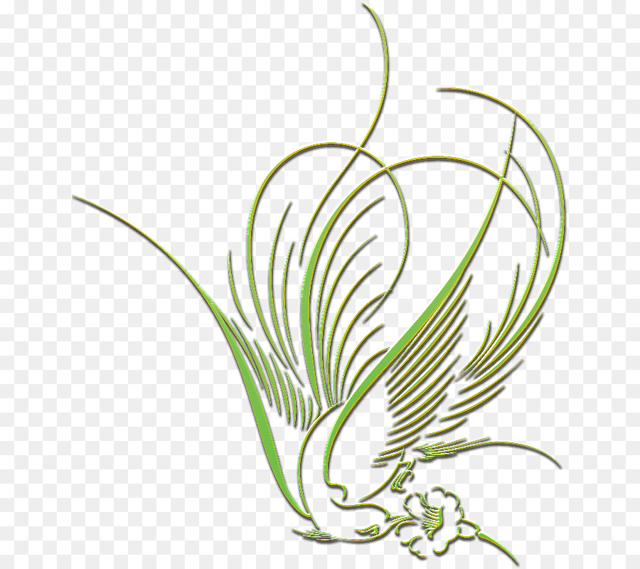 Planta，Arte De Linha PNG