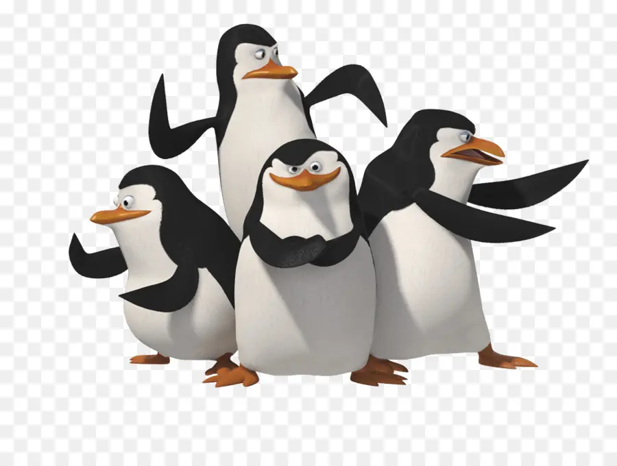 Penguin，Capitão PNG