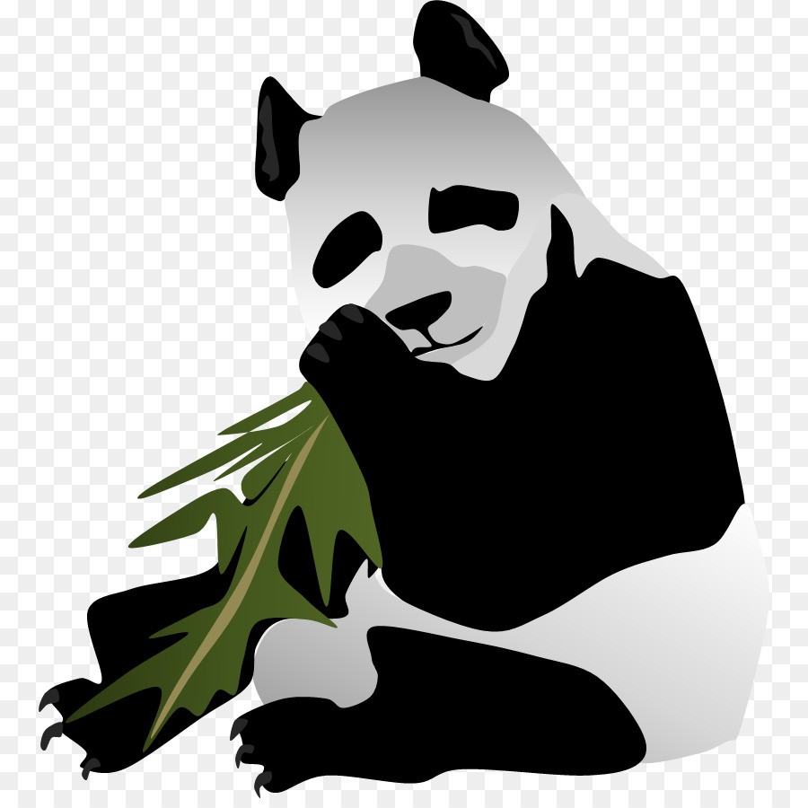 Urso，Panda Gigante PNG