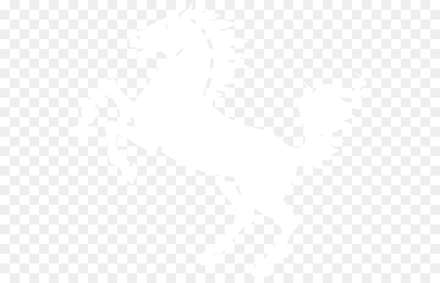 Gato Transparente，Animal PNG