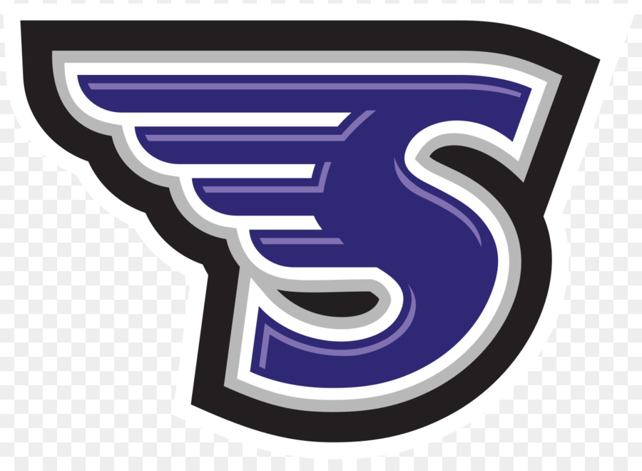 Stonehill College，Stonehill College Skyhawks Basquete Masculino PNG