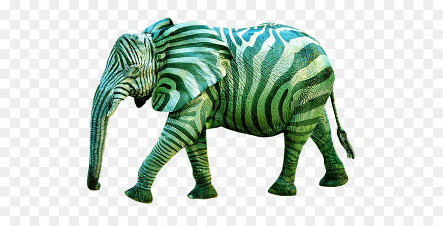 Elefante Africano，Elefante PNG