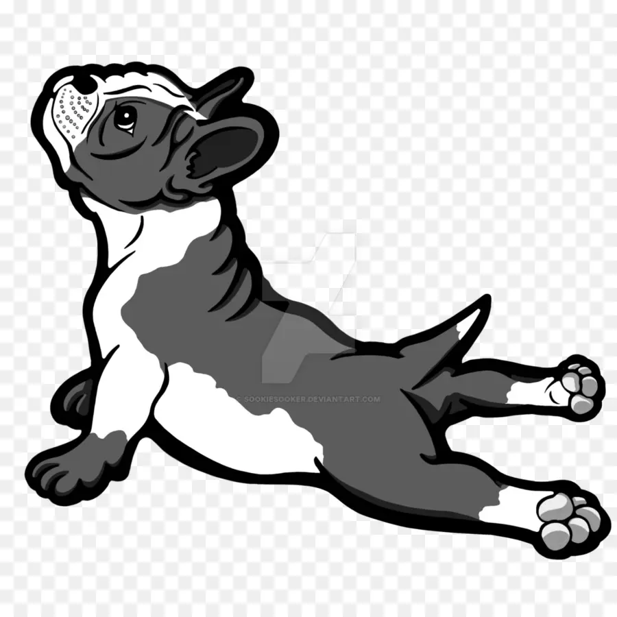 Boston Terrier，Bull Terrier PNG