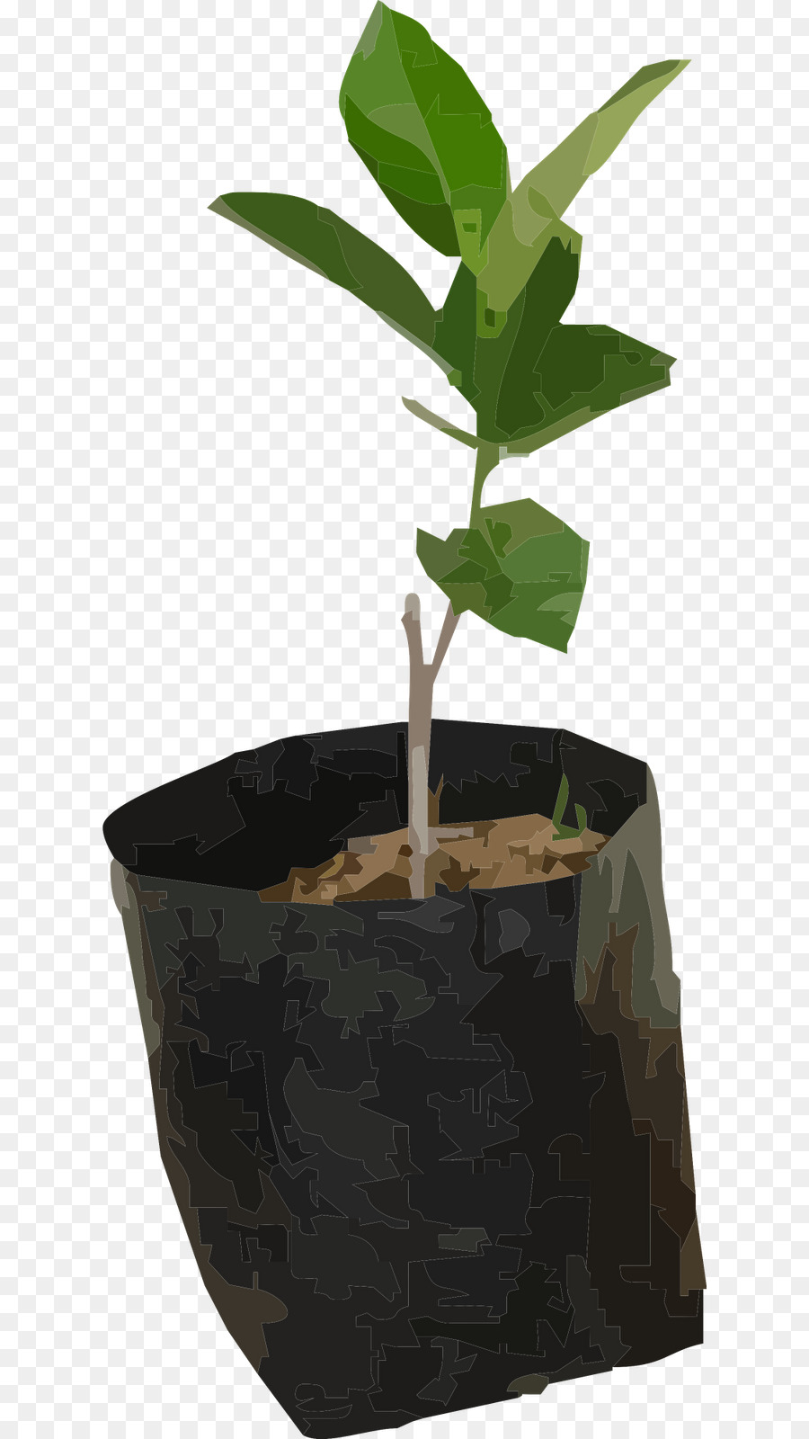 Planta Jovem，Mudas PNG