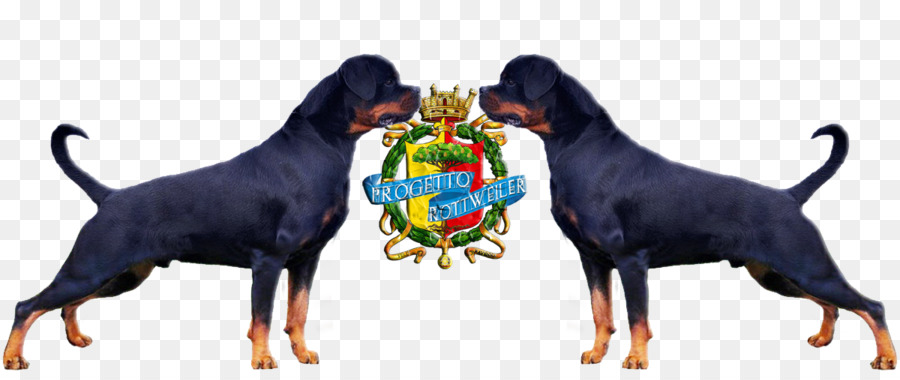 Rottweiler，Polaco Cão De Caça PNG