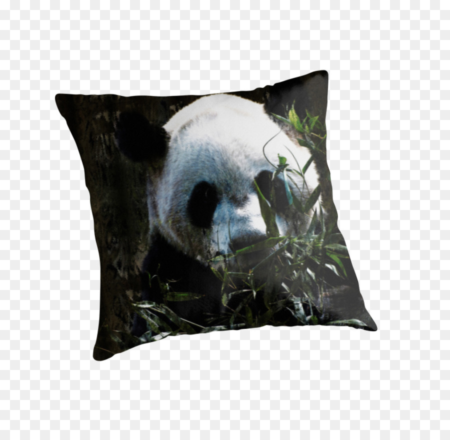 Panda Gigante，Urso PNG