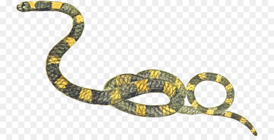 Cobra，Réptil PNG