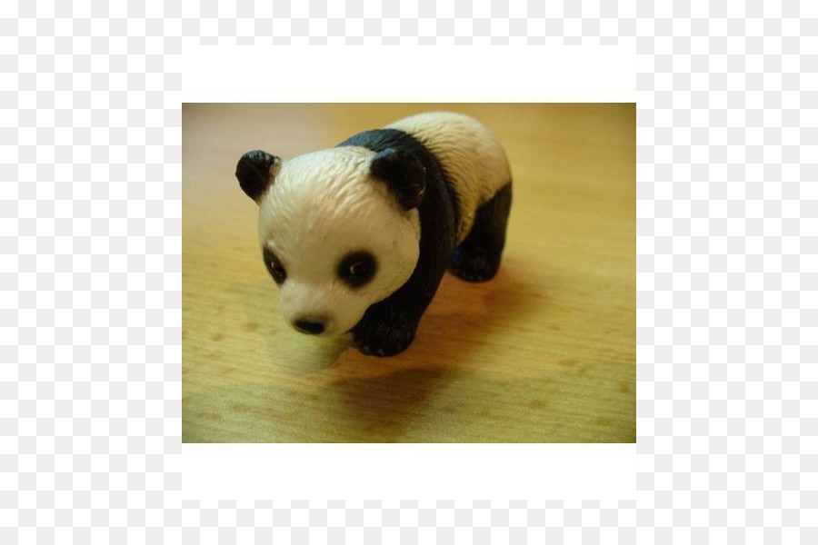 Panda Gigante，Urso PNG