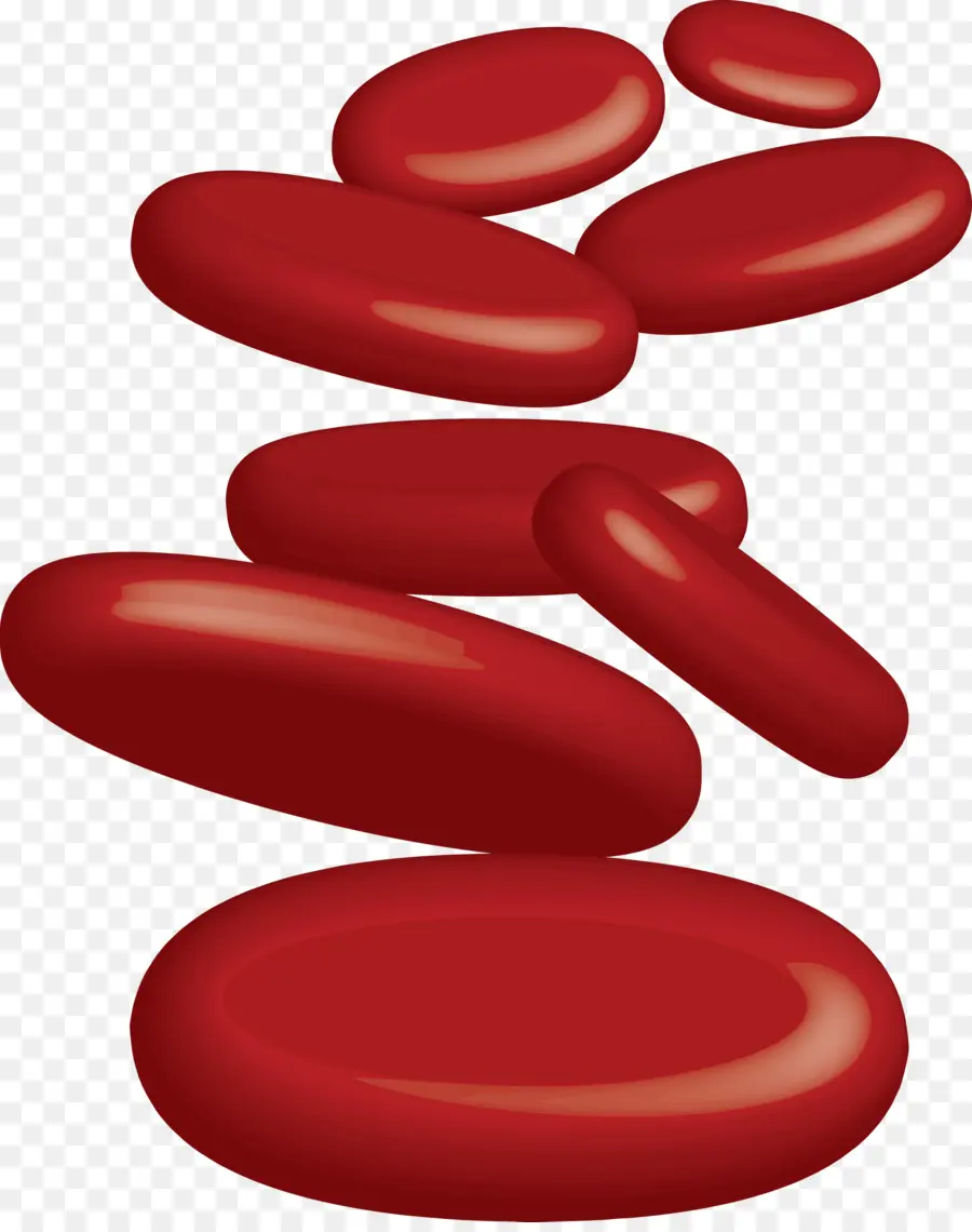 Células Do Sangue，Células Vermelhas Do Sangue PNG