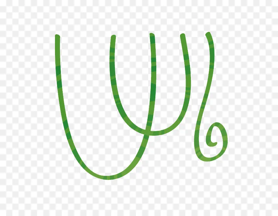 Videira Verde，Encaracolado PNG