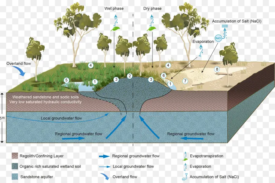 Zonas Húmidas，Groundwaterdependent Ecossistemas PNG
