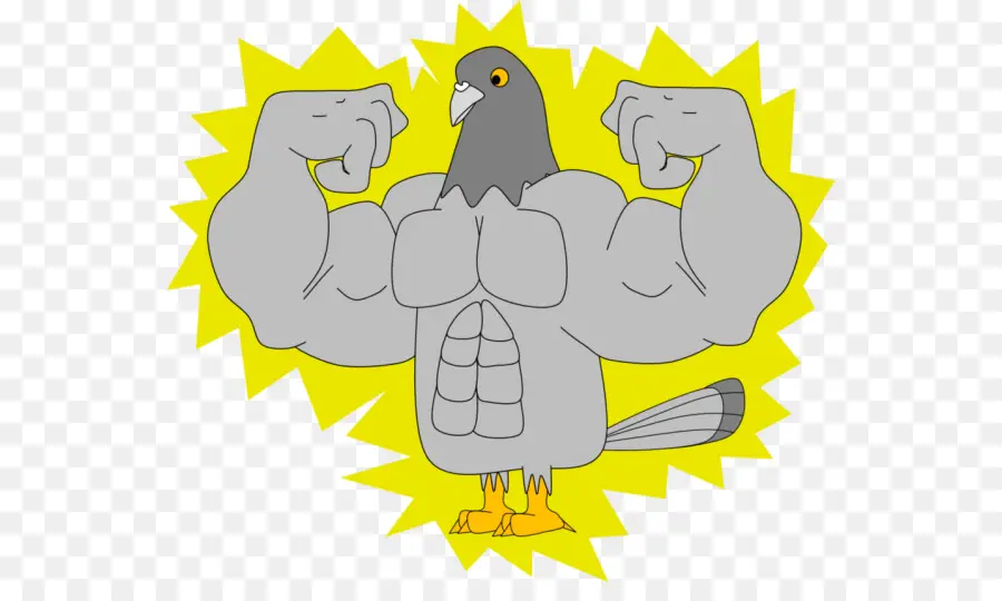 Muscular，Aves PNG