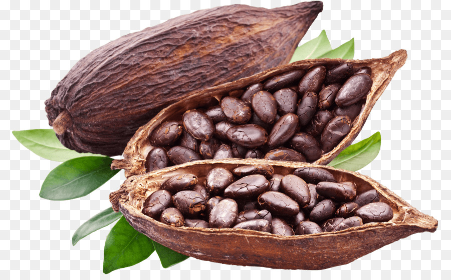 Grãos De Cacau，Chocolate PNG