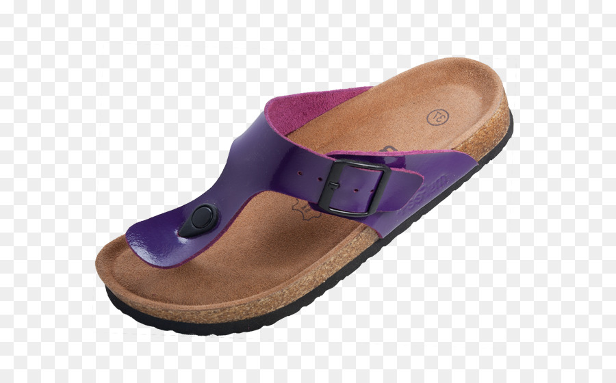 Chinelo，Sapato PNG