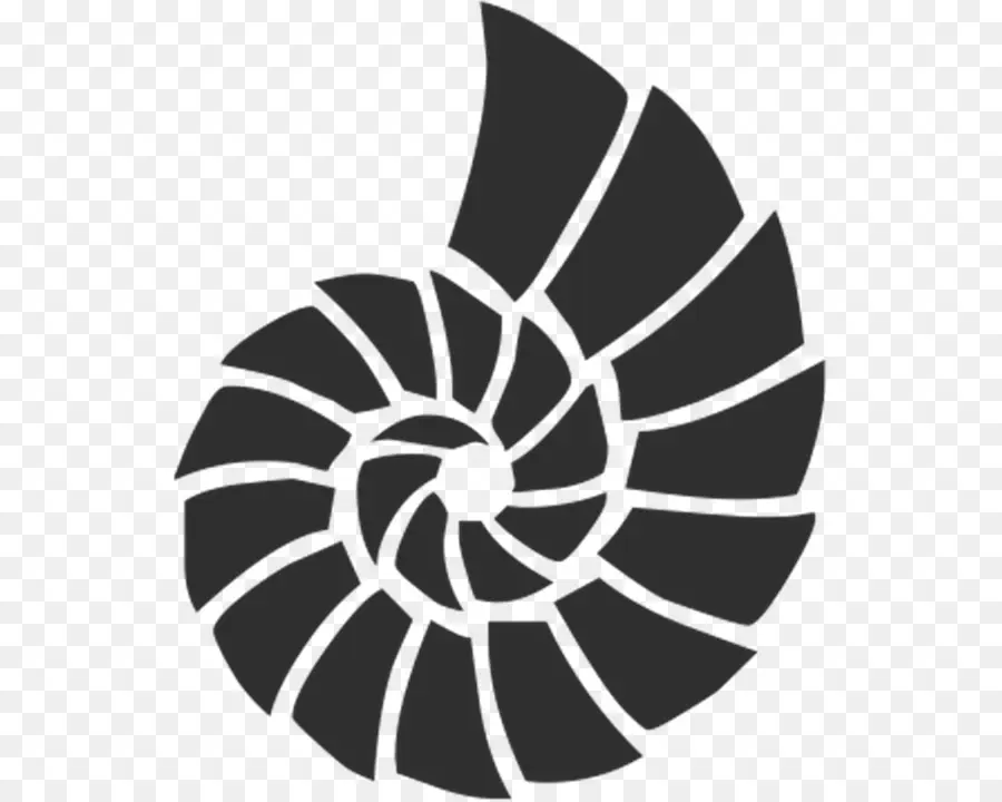 Concha，Espiral PNG