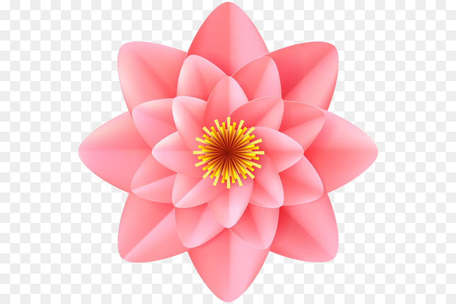 Flor Rosa，Florescer PNG