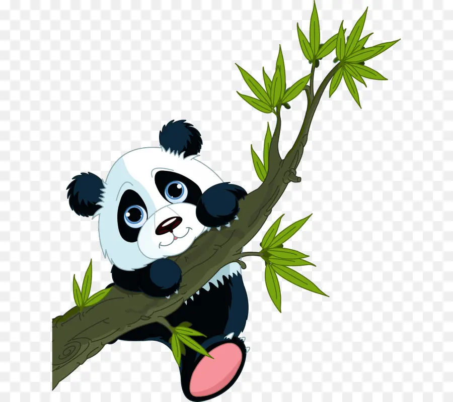 Panda，Árvore PNG