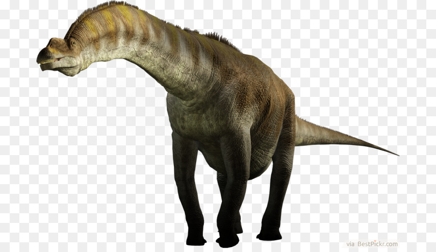 Giraffatitan，Rhamphorhynchus PNG