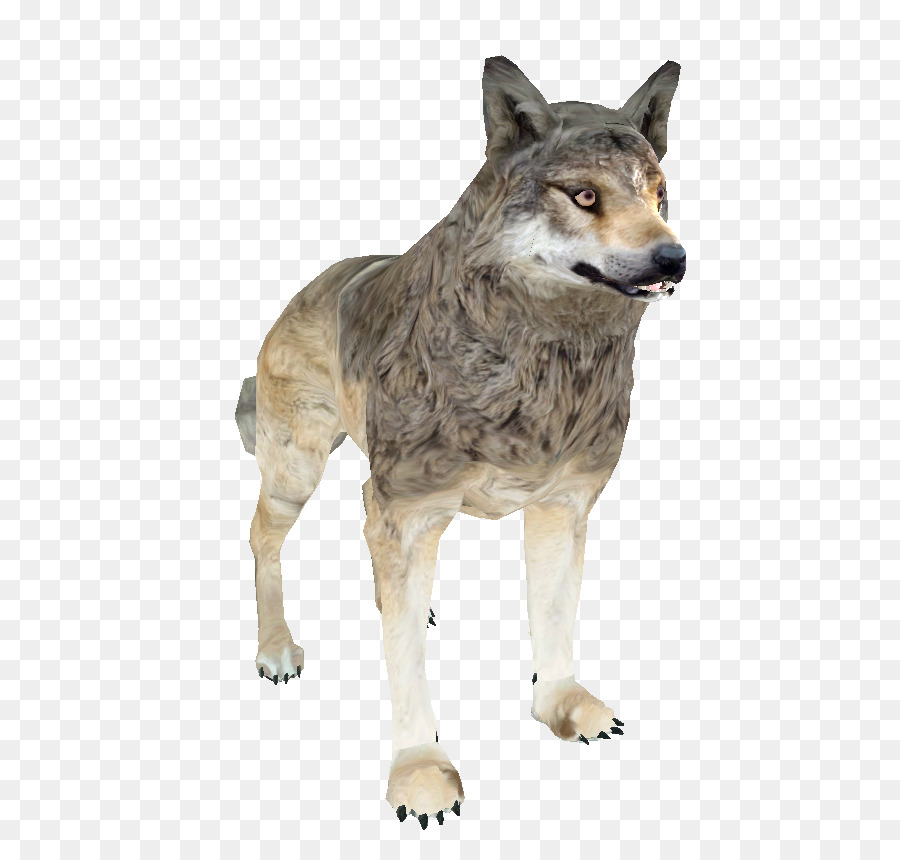 Tremendo Ilhas，Saarloos Wolfdog PNG