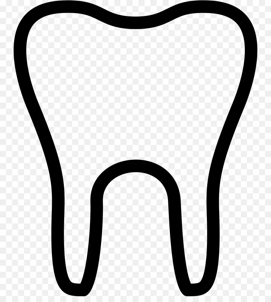 Dente，De Dentes Humanos PNG