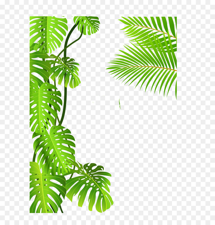 Royaltyfree Floresta Tropical Desenho Png Transparente Gr Tis