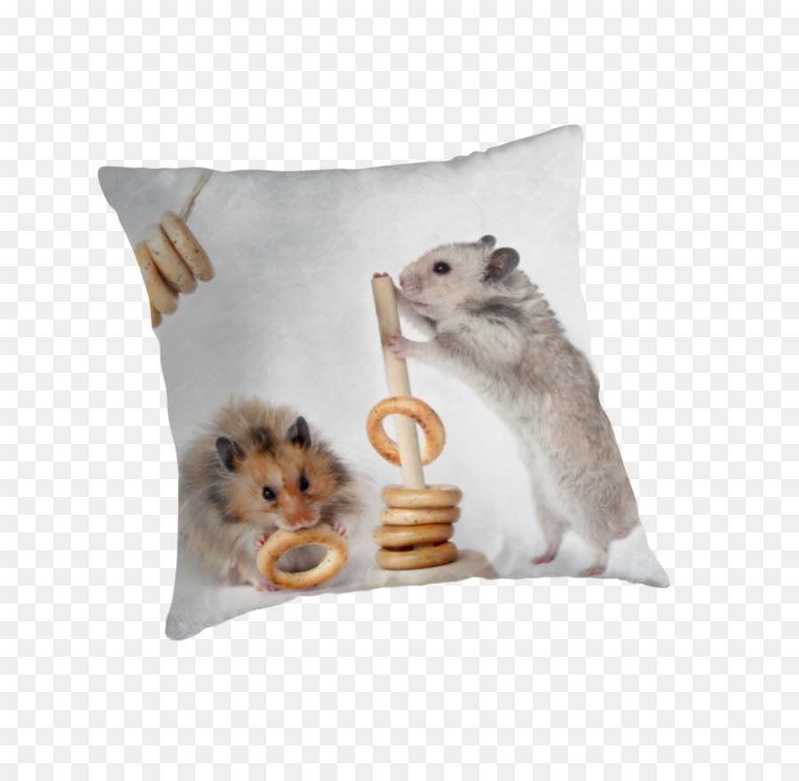 Roedores，Hamster PNG