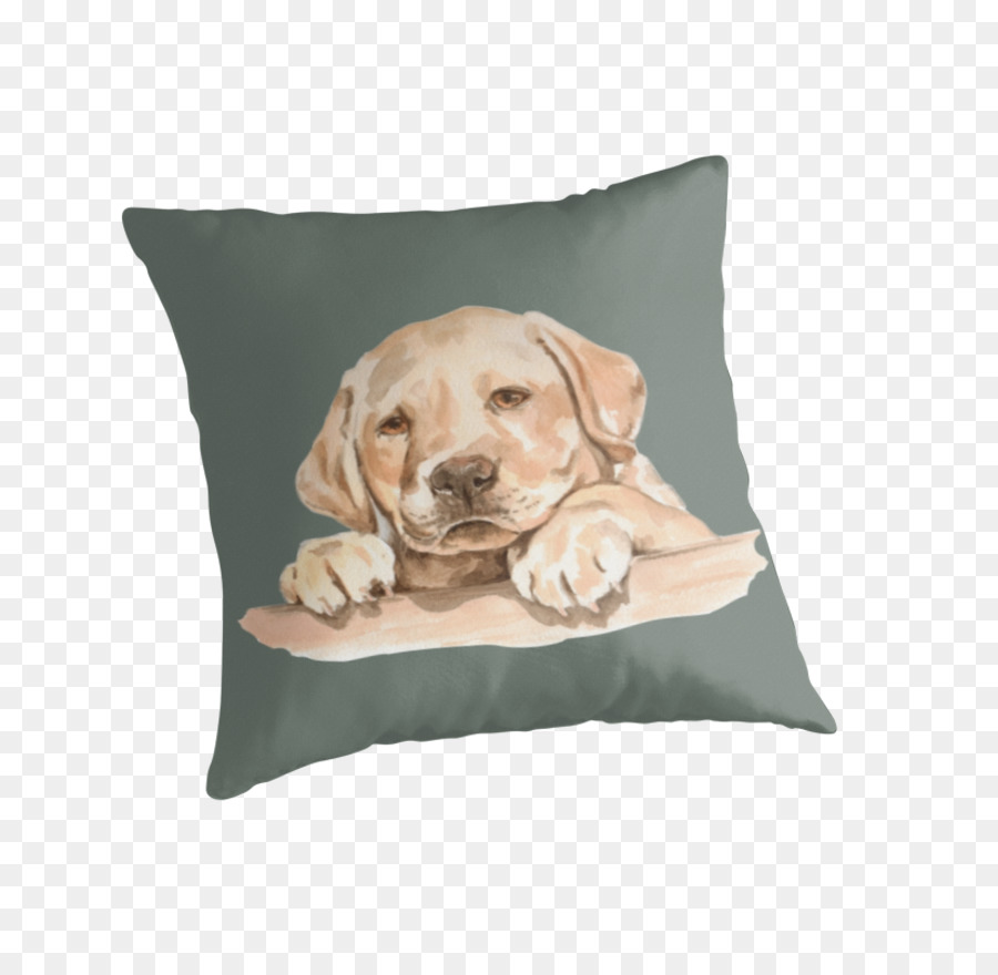 Labrador Retriever，Retriever PNG