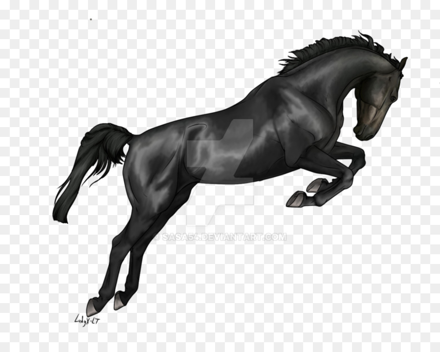 Cavalo Corredor Preto，Equino PNG