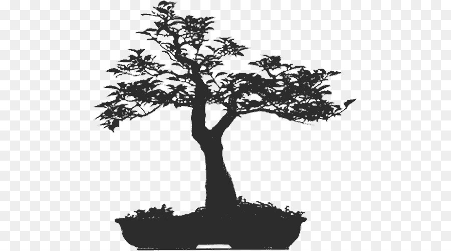 árvore，Bonsai PNG