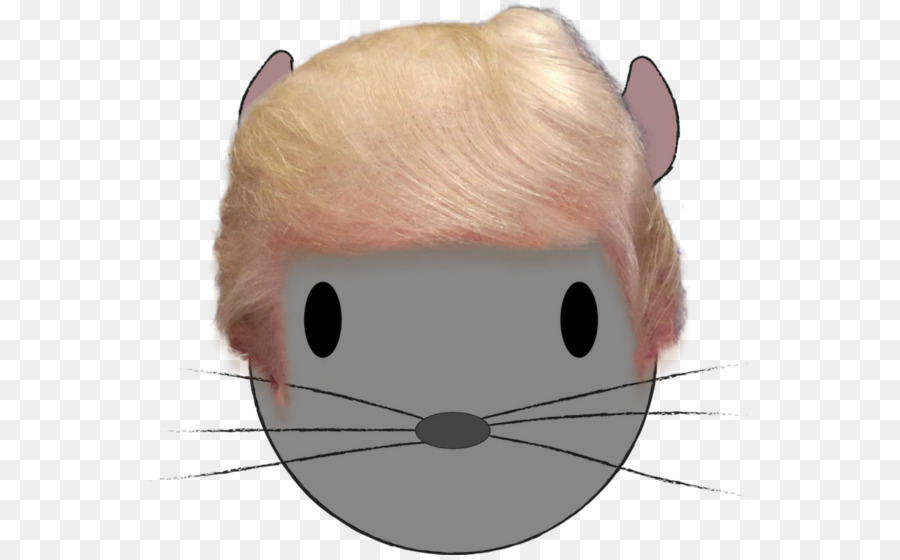 Gato，Rat PNG