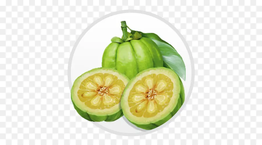 Garcínia Cambogia，Garcínia PNG