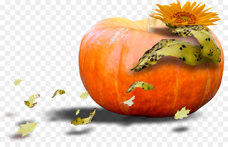 Calabaza，Cucurbita PNG