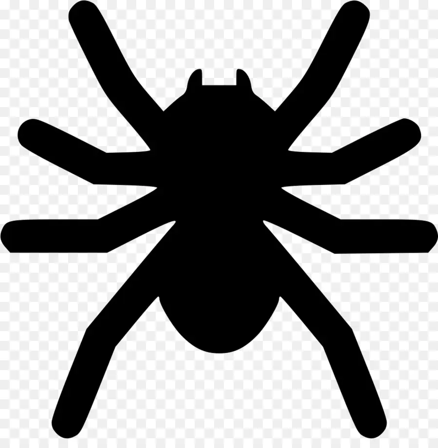 Aranha，Aracnídeo PNG