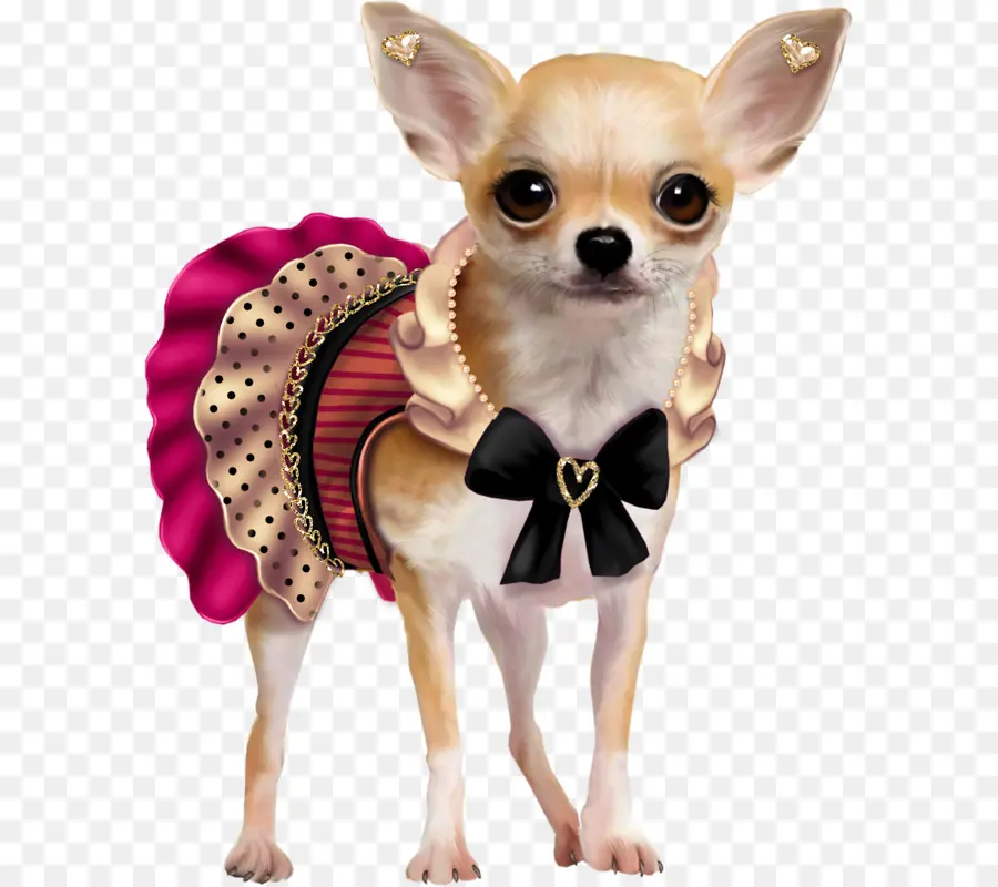 Filhote De Cachorro，Chihuahua PNG