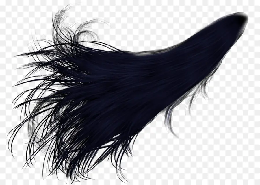 Cabelo Preto，Longo PNG