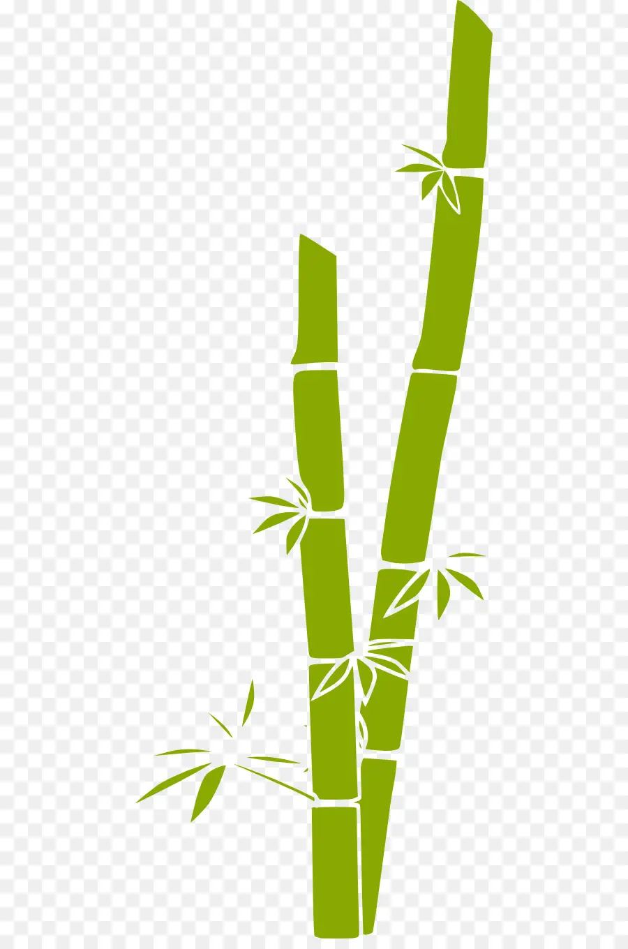 Bambu，Verde PNG