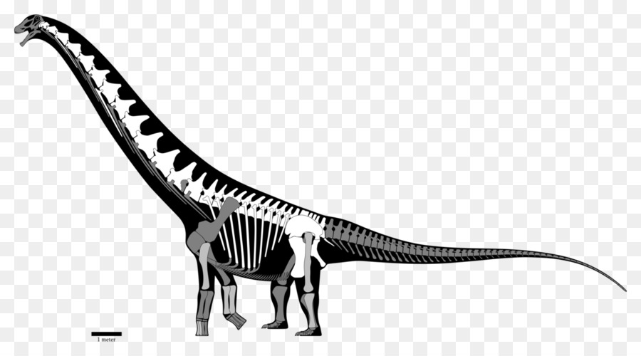 Futalognkosaurus，Amplamente Cretáceo PNG