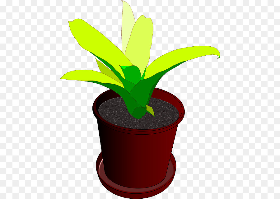 Planta Em Vaso，Plantar PNG