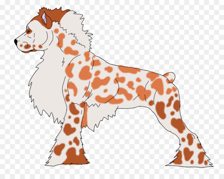 Gato，Girafa PNG