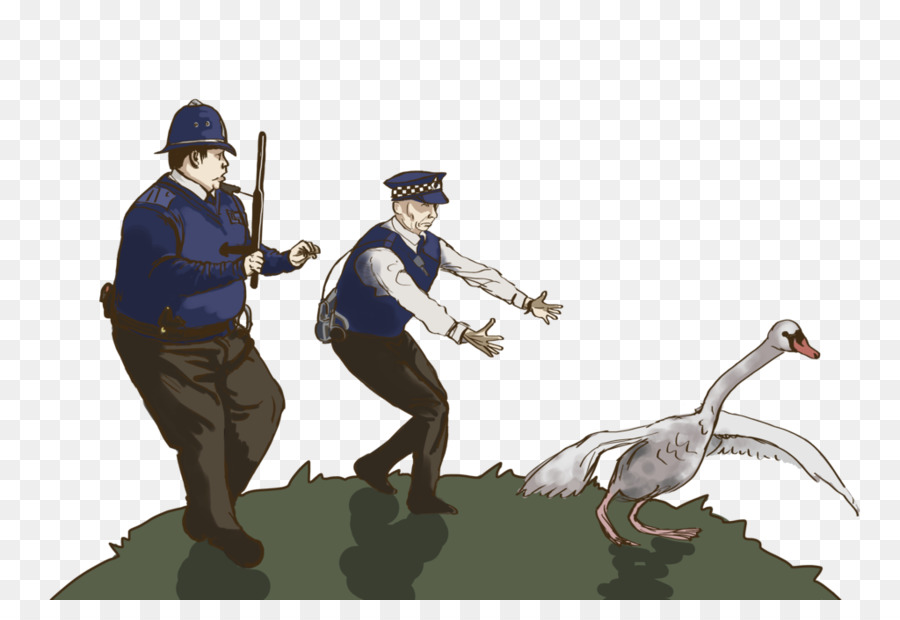 Polícia E Cisne，Oficiais PNG