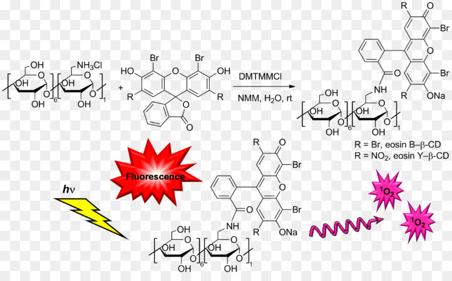 Eosina，Ciclodextrina PNG