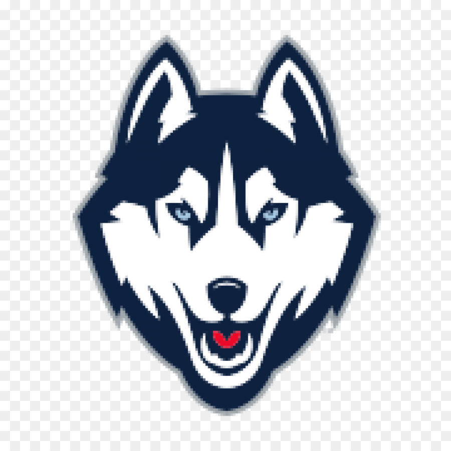 Universidade De Connecticut，Connecticut Huskies De Futebol PNG